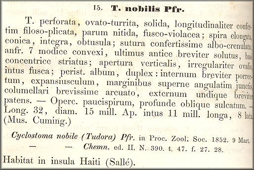 Chondropomium nobile original description