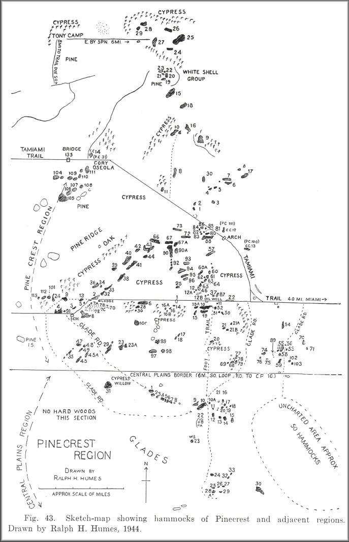 Pinecrest And Adjacent Regions Detailed Map