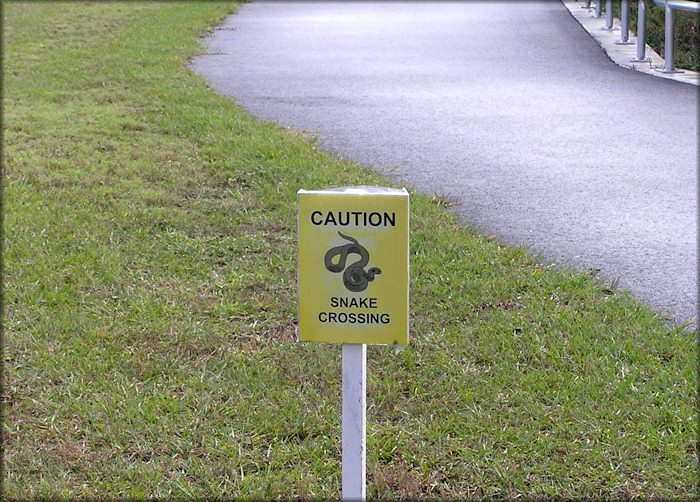 Little Talbot Island Snake Crossing Sign (11/13/2005)