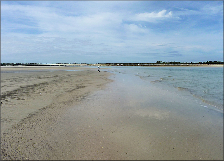 Huguenot Park Extensive Sand Flats (January 12, 2014)