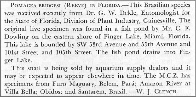 Clench, W. J., 1965 Pomacea bridgesii (Reeve) in Florida. The Nautilus 79(3): 105. Jan.