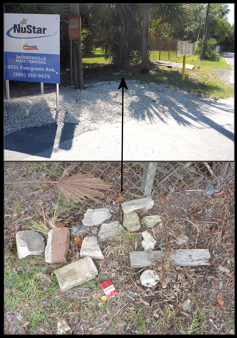 Image of the corner where the Daedalochila were found. The bottom image is a close-up view of the Spartan habitat.