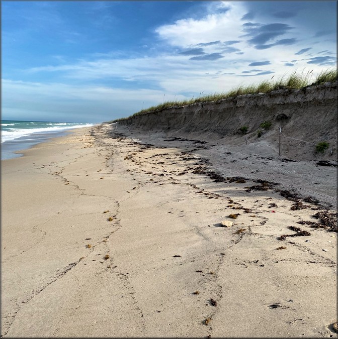 Beach at South Hutchison Island where the shells were found