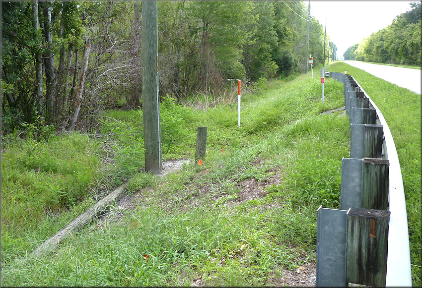 Portion of the drainage ditch (Brandy Branch) on the north side of US-90. The view is looking east towards downtown Jacksonville.