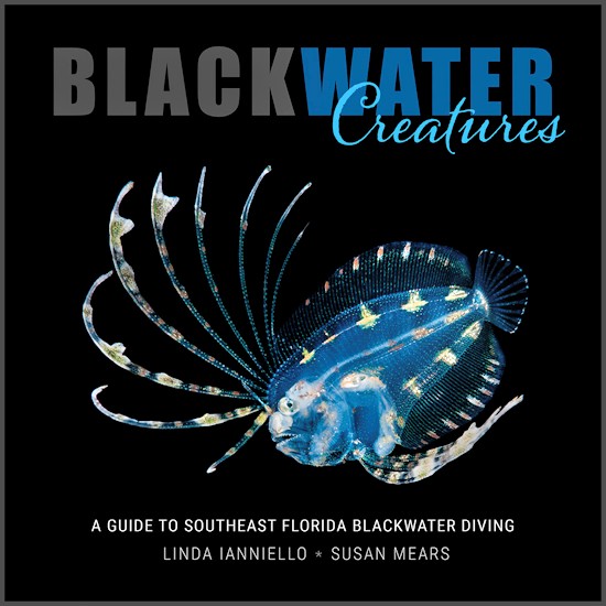 Black Water Creatures