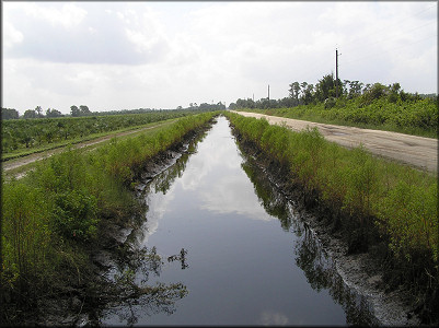 Ditch looking south (upstream - the ditch flows north)