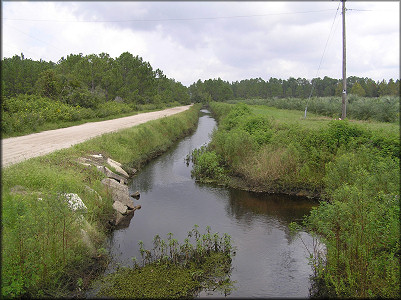 Ditch looking north (downstream)