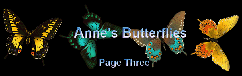 Anne's Butterflies Page Three