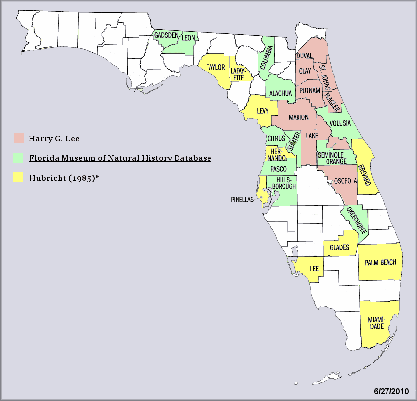 Daedalochila avara (Say, 1818) Florida Liptooth Records For Florida