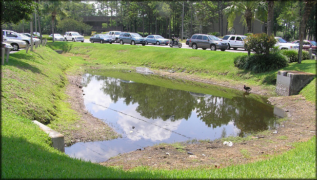 Roadside Retention Pond On Baymeadows Road
