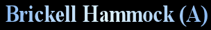 Brickell Hammock (A)