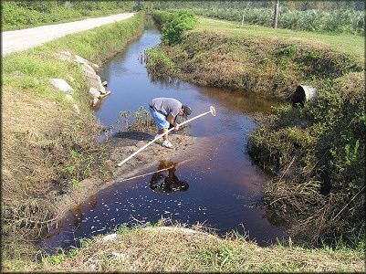 Webmeister Bill Frank (Jacksonville) peruses the numerous freshwater specimens in the ditch
