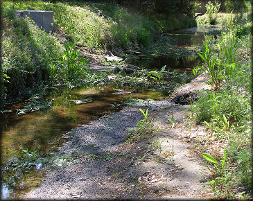 Jones Creek at the "Plant" site
