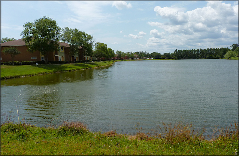 North end of the lake at Country Club Lakes Apartments looking south