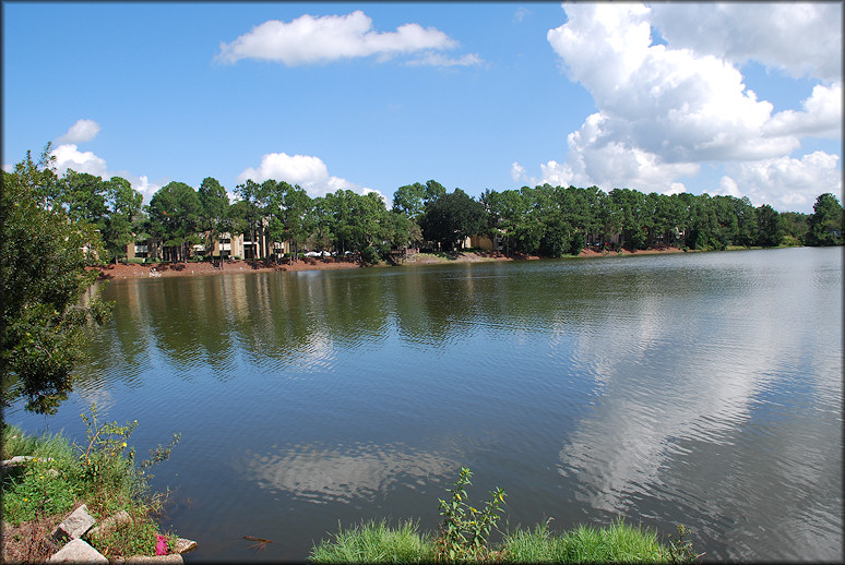 Looking northeast across the lake from St. Augustine at the Lake Apartment Homes