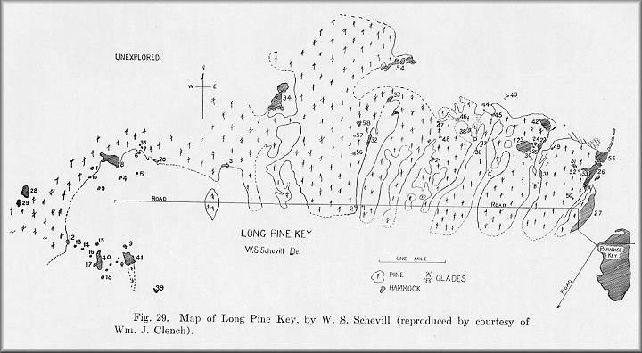 Long Pine Key Detailed Map