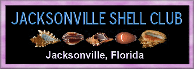 Jacksonville Shell Club, Jacksonville, Florida