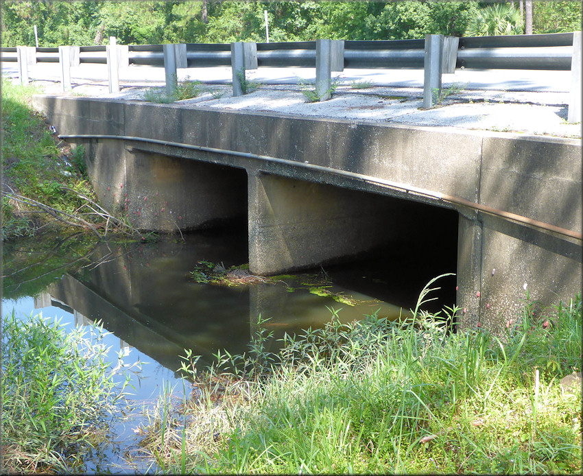 Drainage ditch on the Interstate 10 exit ramp to Baldwin where the Pomacea were initially discovered
