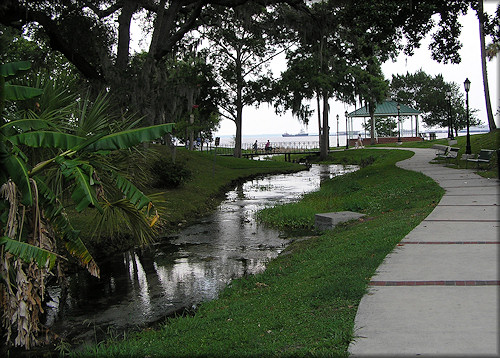 View of the spring run looking towards the St. Johns River