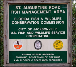 Pomacea canaliculata (Lamarck, 1822) At St. Augustine Road Fish Management Area