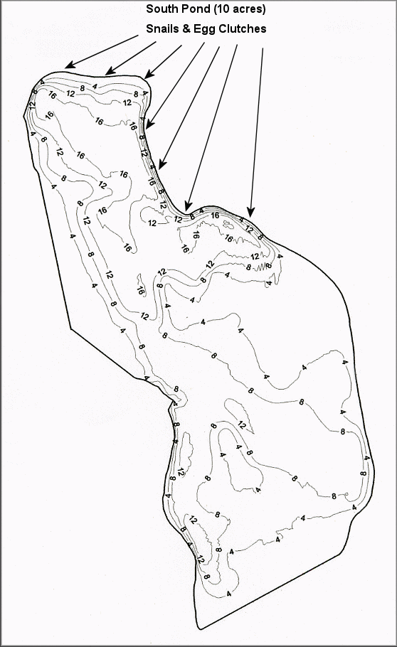St. Augustine Road Fish Management Area Impoundment Map