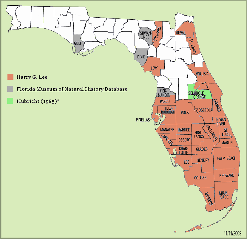 Daedalochila uvulifera (Shuttleworth, 1852) Peninsula Liptooth Records For Florida
